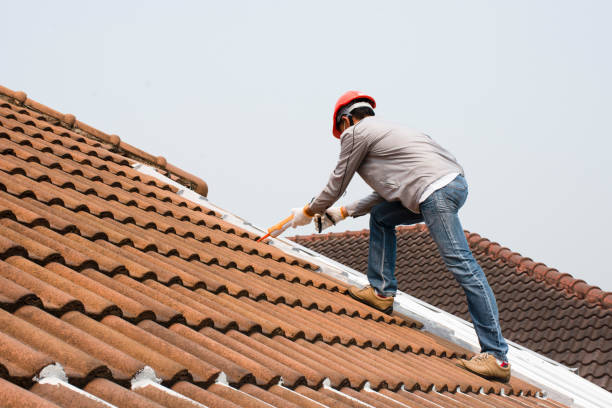 Fast & Reliable Emergency Roof Repairs in Lovelock, NV